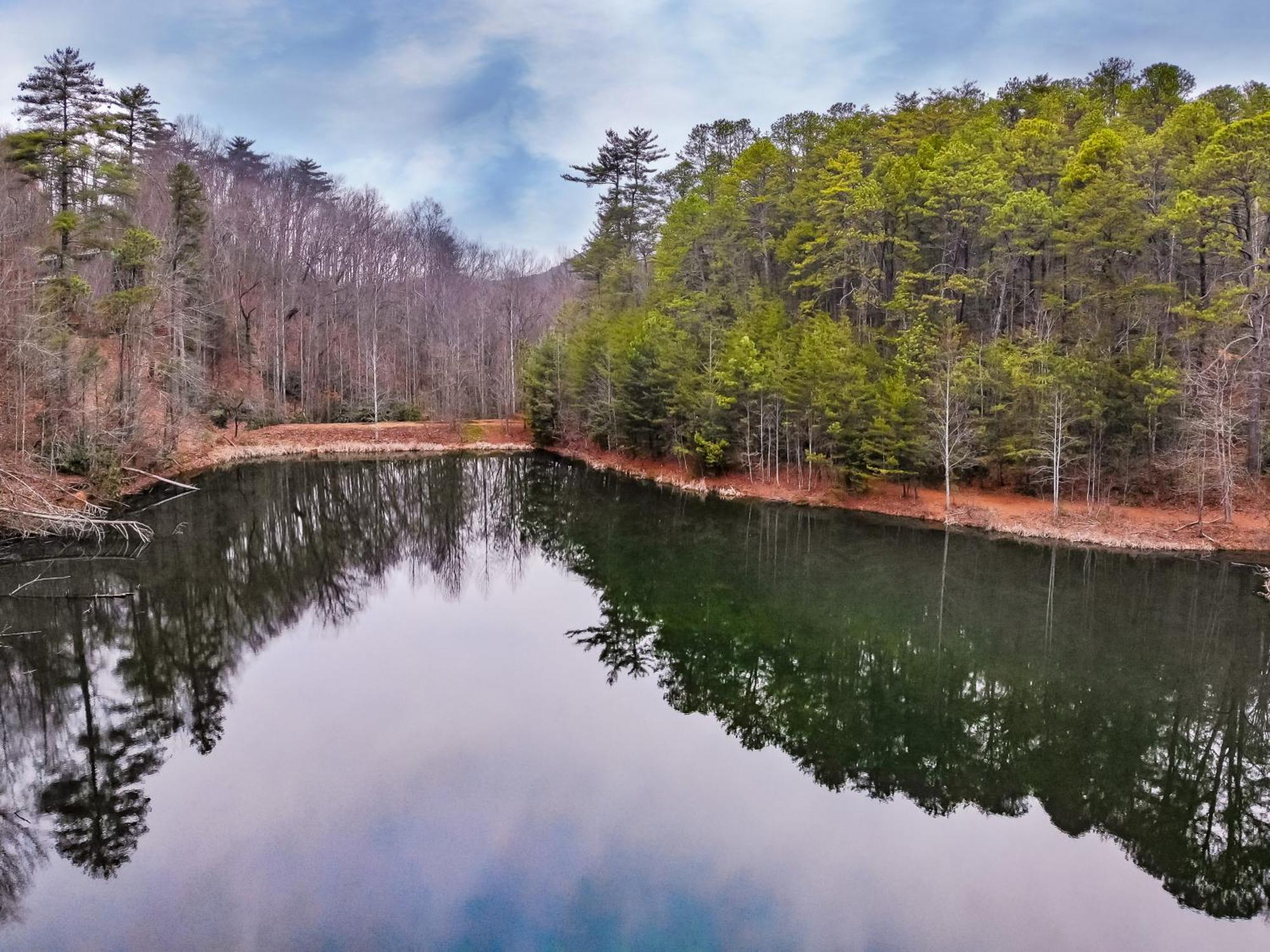 Alpine Joy-Hot Tub, Pond Access ,1089 Of Free Tickets For Each Paid Day, Dollywood And More! Townsend Quarto foto